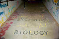 img003.jpg (40356 bytes)