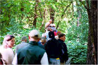 img049.jpg (90560 bytes)