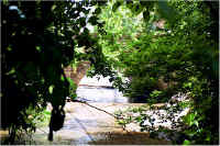 img050.jpg (86790 bytes)