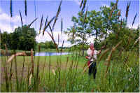 img054.jpg (82263 bytes)