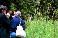 img056.jpg (94155 bytes)