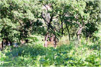 img063.jpg (110576 bytes)