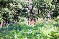 img064.jpg (109677 bytes)