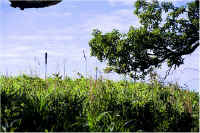 img067.jpg (85448 bytes)