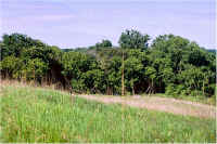 img068.jpg (74051 bytes)