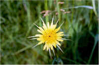 img069.jpg (43963 bytes)