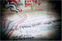 img082.jpg (50005 bytes)