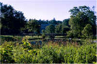 img031.jpg (84186 bytes)