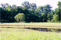 img034.jpg (79572 bytes)