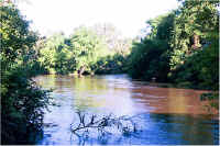 img036.jpg (78609 bytes)