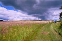 img049.jpg (56995 bytes)