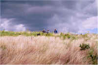 img052.jpg (52257 bytes)