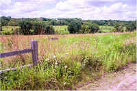 img054.jpg (92286 bytes)