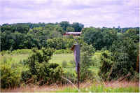 img056.jpg (77505 bytes)