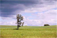 img058.jpg (45488 bytes)