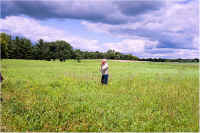 img060.jpg (71570 bytes)