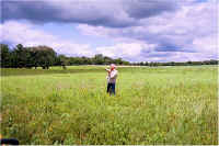 img061.jpg (69031 bytes)