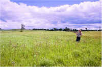 img062.jpg (67272 bytes)