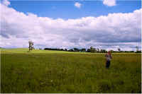 img063.jpg (48611 bytes)