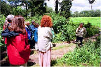 img067.jpg (102530 bytes)