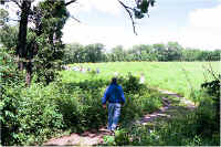 img070.jpg (91599 bytes)