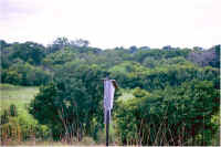 img073.jpg (50163 bytes)