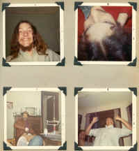 page17.jpg (619855 bytes)